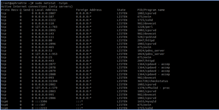 如何在Linux服務(wù)器中實時觀察 TCP 和 UDP 端口？.png