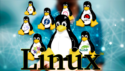 linux分區(qū)滿了怎么辦？.png